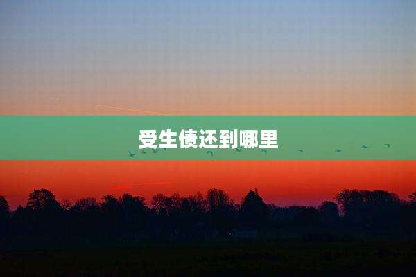 受生债还到哪里