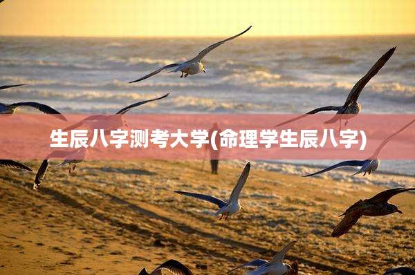 生辰八字测考大学(命理学生辰八字)
