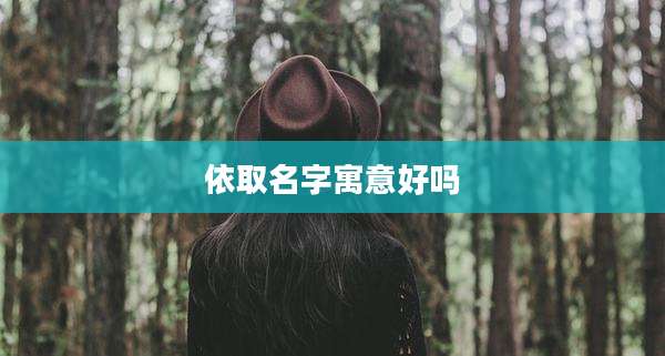依取名字寓意好吗
