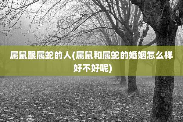 属鼠跟属蛇的人(属鼠和属蛇的婚姻怎么样 好不好呢)