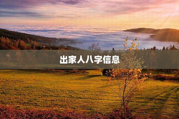 出家人八字信息