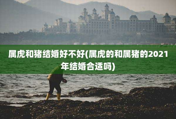 属虎和猪结婚好不好(属虎的和属猪的2021年结婚合适吗)