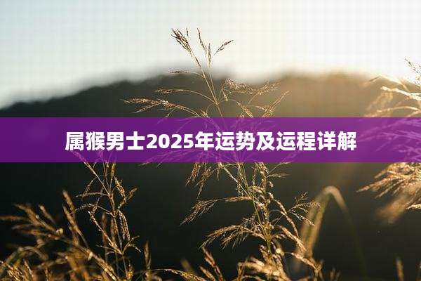 属猴男士2025年运势及运程详解