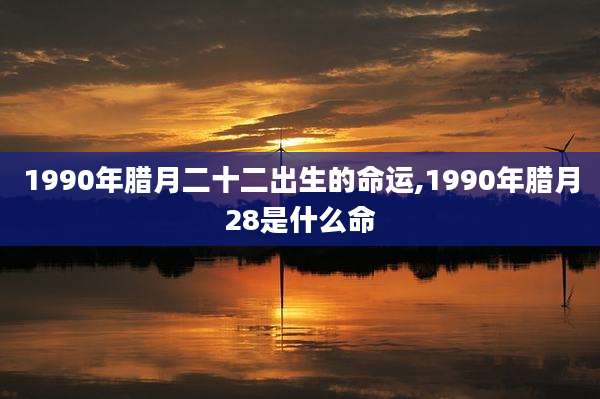1990年腊月二十二出生的命运,1990年腊月28是什么命