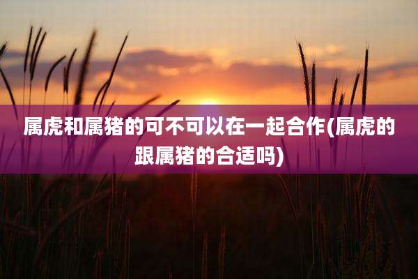 属虎和属猪的可不可以在一起合作(属虎的跟属猪的合适吗)
