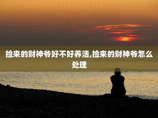 捡来的财神爷好不好养活,捡来的财神爷怎么处理