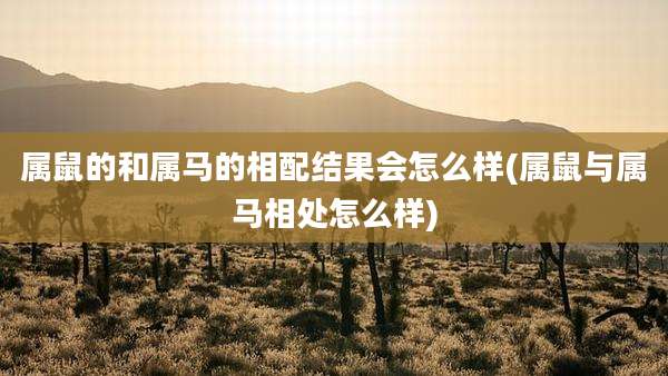 属鼠的和属马的相配结果会怎么样(属鼠与属马相处怎么样)