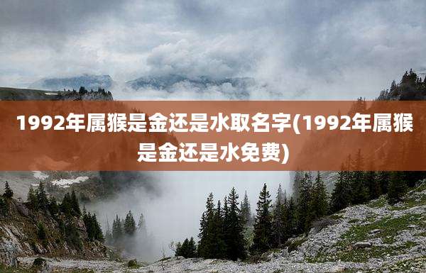 1992年属猴是金还是水取名字(1992年属猴是金还是水免费)