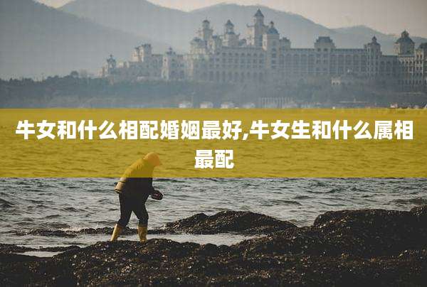 牛女和什么相配婚姻最好,牛女生和什么属相最配