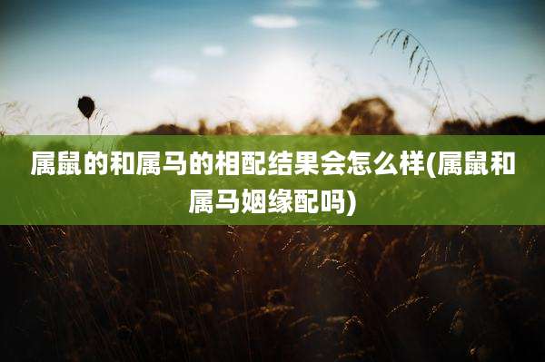属鼠的和属马的相配结果会怎么样(属鼠和属马姻缘配吗)