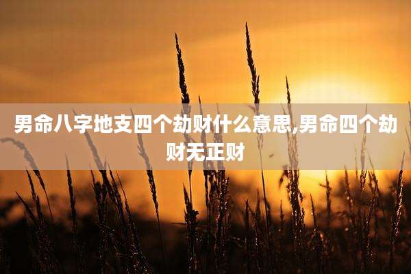 男命八字地支四个劫财什么意思,男命四个劫财无正财