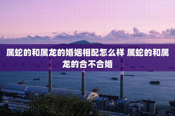 属蛇的和属龙的婚姻相配怎么样 属蛇的和属龙的合不合婚