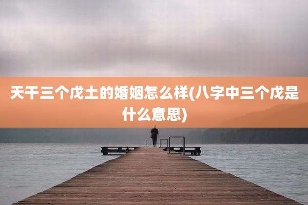 天干三个戊土的婚姻怎么样(八字中三个戊是什么意思)