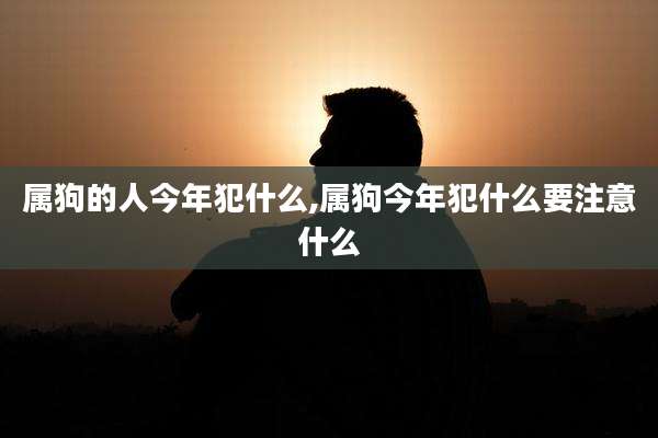 属狗的人今年犯什么,属狗今年犯什么要注意什么