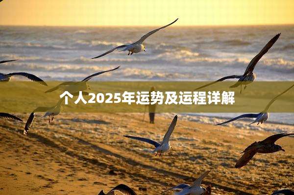 个人2025年运势及运程详解