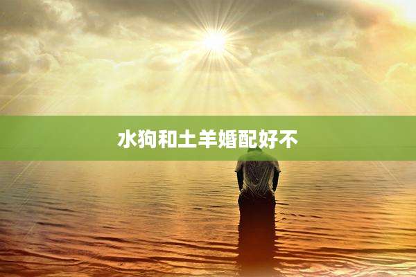 水狗和土羊婚配好不