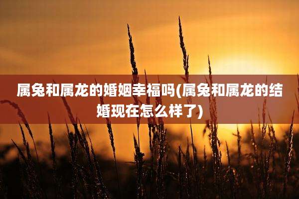 属兔和属龙的婚姻幸福吗(属兔和属龙的结婚现在怎么样了)