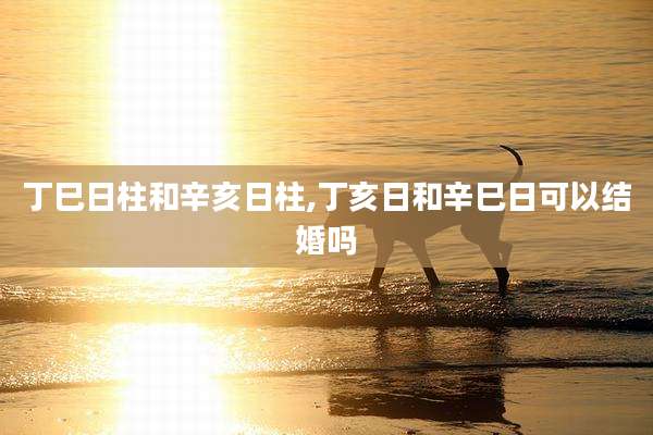 丁巳日柱和辛亥日柱,丁亥日和辛巳日可以结婚吗