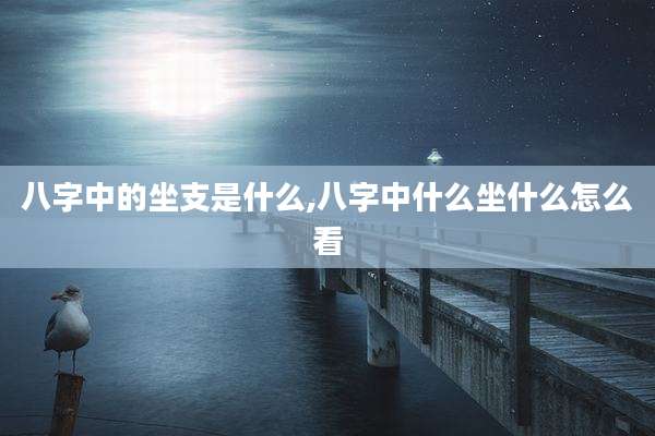 八字中的坐支是什么,八字中什么坐什么怎么看
