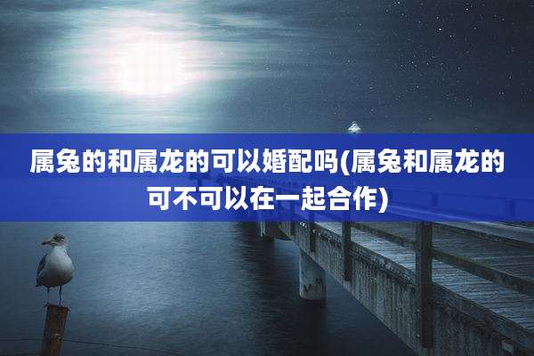属兔的和属龙的可以婚配吗(属兔和属龙的可不可以在一起合作)