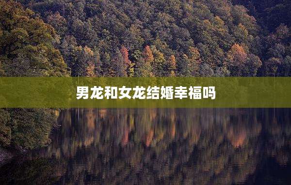 男龙和女龙结婚幸福吗