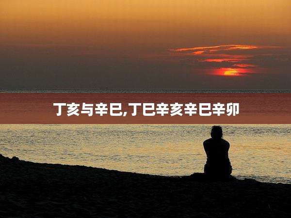 丁亥与辛巳,丁巳辛亥辛巳辛卯