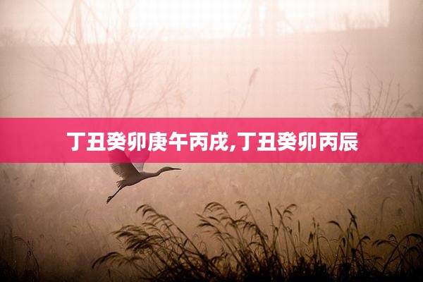 丁丑癸卯庚午丙戌,丁丑癸卯丙辰