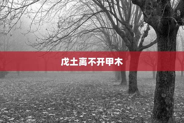 戊土离不开甲木