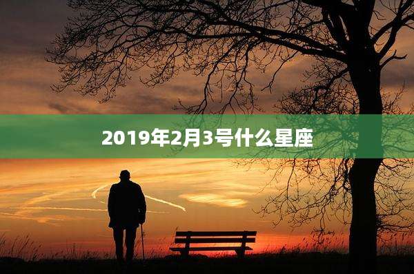 2019年2月3号什么星座