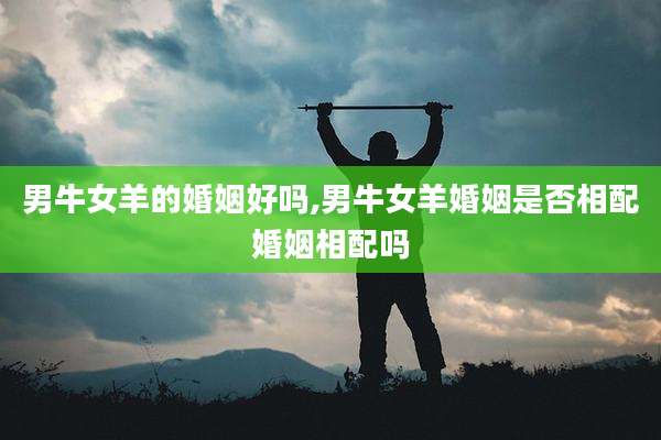 男牛女羊的婚姻好吗,男牛女羊婚姻是否相配婚姻相配吗