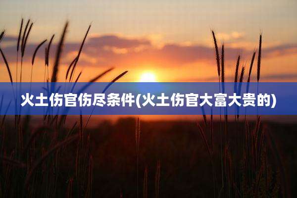火土伤官伤尽条件(火土伤官大富大贵的)