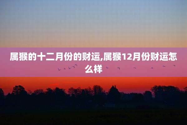 属猴的十二月份的财运,属猴12月份财运怎么样