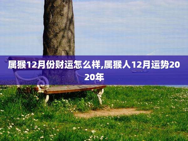 属猴12月份财运怎么样,属猴人12月运势2020年