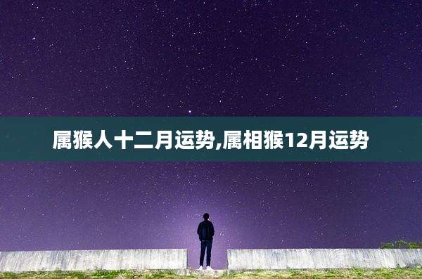 属猴人十二月运势,属相猴12月运势