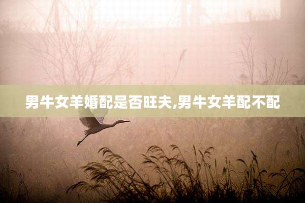 男牛女羊婚配是否旺夫,男牛女羊配不配