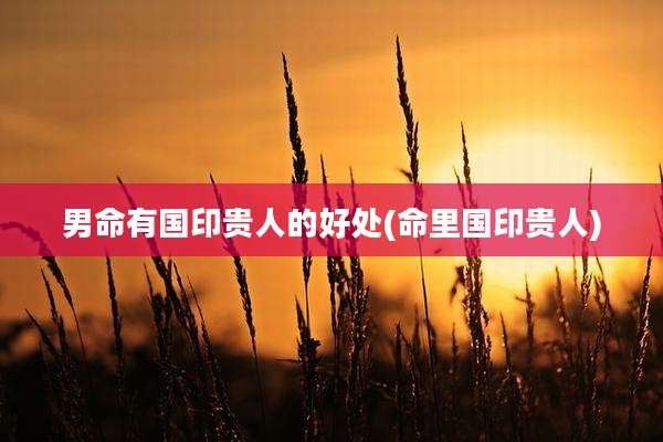 男命有国印贵人的好处(命里国印贵人)