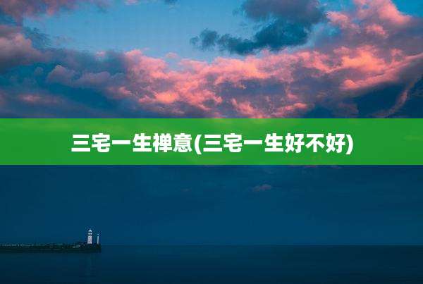 三宅一生禅意(三宅一生好不好)
