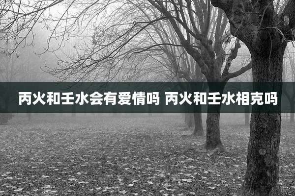 丙火和壬水会有爱情吗 丙火和壬水相克吗