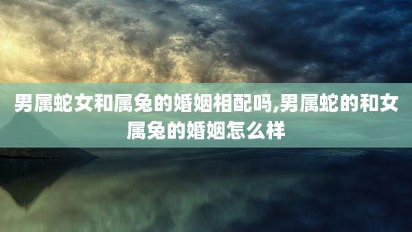 男属蛇女和属兔的婚姻相配吗,男属蛇的和女属兔的婚姻怎么样