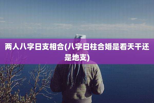 两人八字日支相合(八字日柱合婚是看天干还是地支)