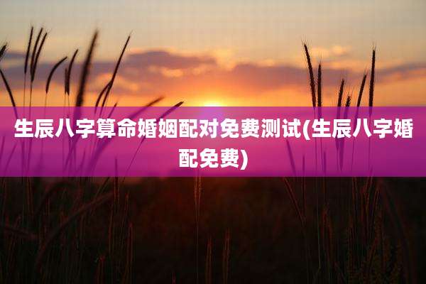 生辰八字算命婚姻配对免费测试(生辰八字婚配免费)
