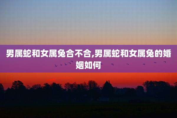 男属蛇和女属兔合不合,男属蛇和女属兔的婚姻如何