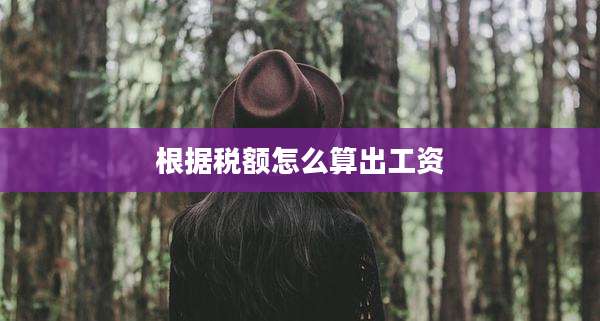 根据税额怎么算出工资