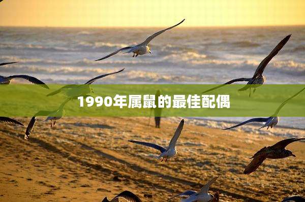 1990年属鼠的最佳配偶