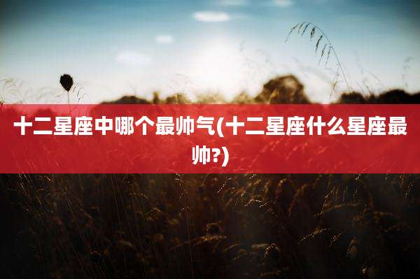 十二星座中哪个最帅气(十二星座什么星座最帅?)