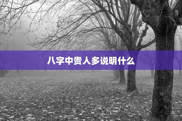 八字中贵人多说明什么