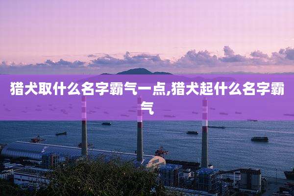 猎犬取什么名字霸气一点,猎犬起什么名字霸气