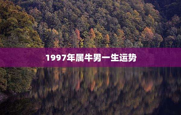 1997年属牛男一生运势
