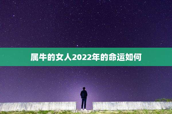 属牛的女人2022年的命运如何