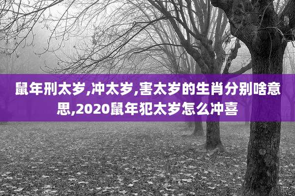 鼠年刑太岁,冲太岁,害太岁的生肖分别啥意思,2020鼠年犯太岁怎么冲喜